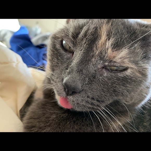 Meet your Posher, Meg - Picture 1 of 1